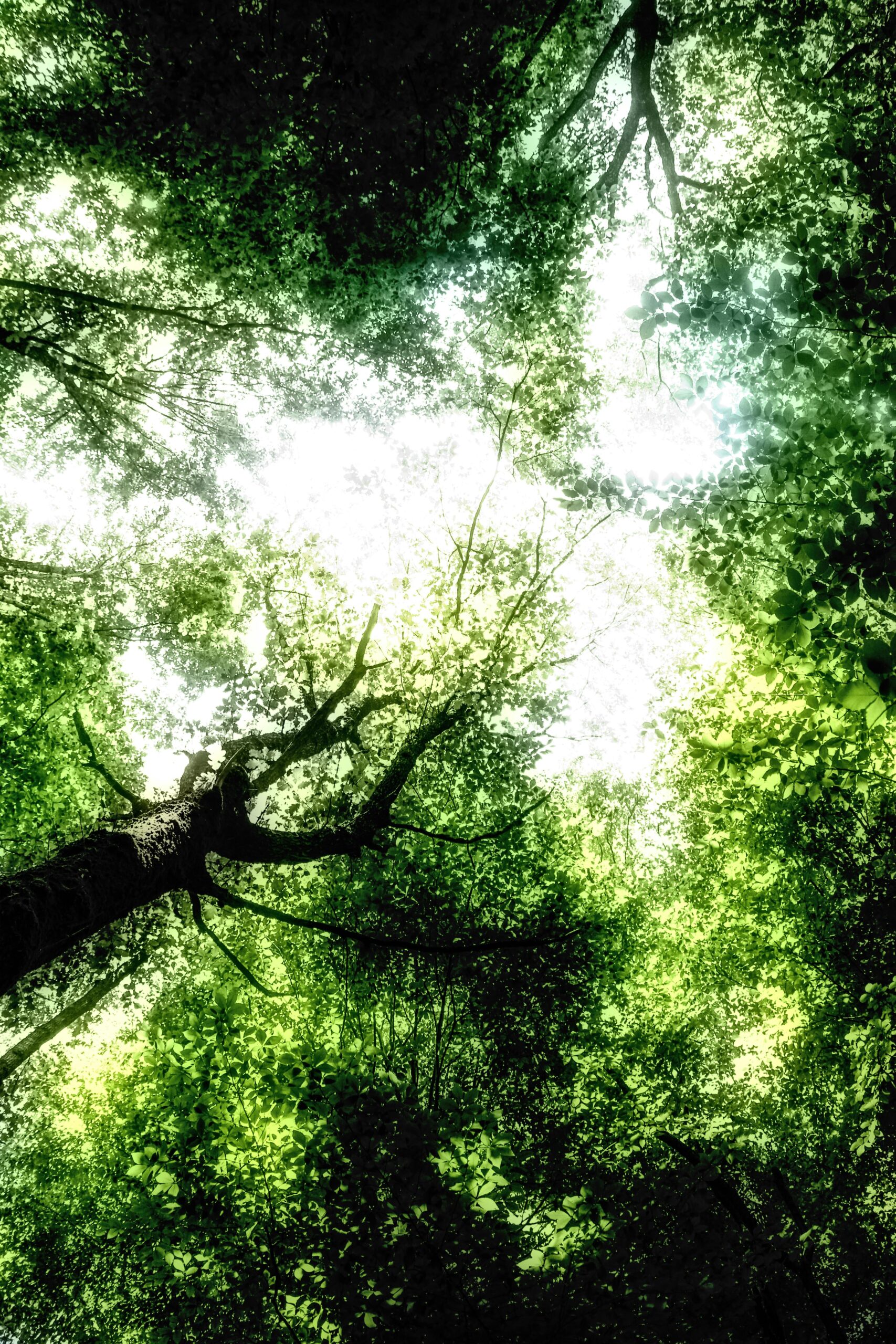 pexels-omer-evren-2156937998-35259638